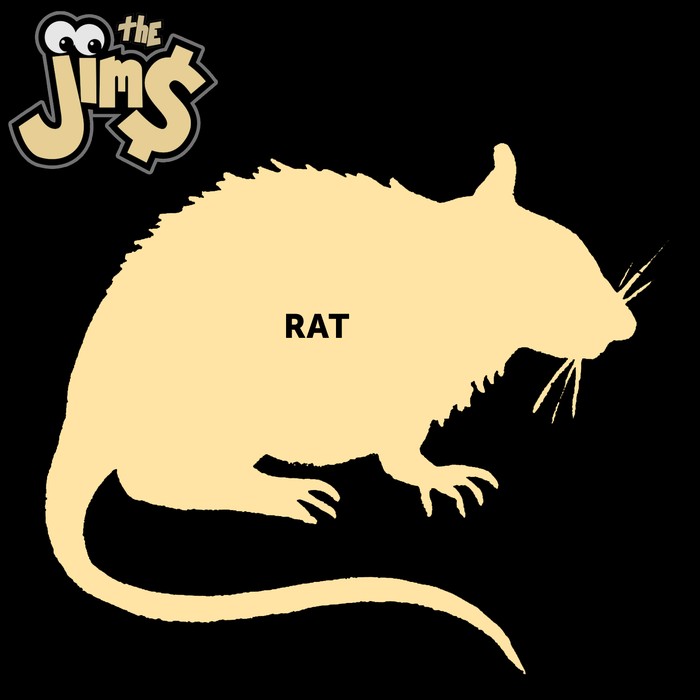 rat